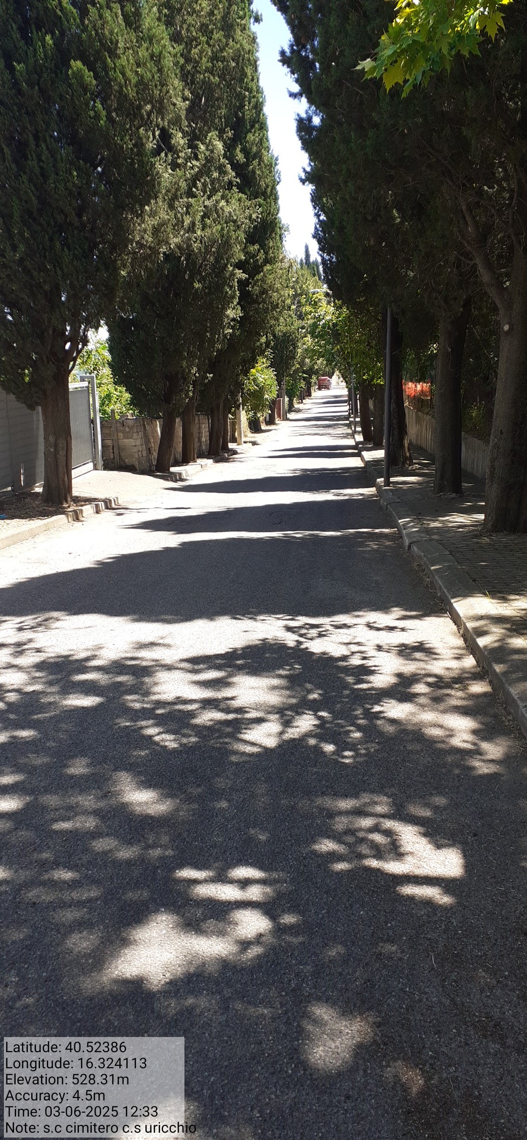 Galleria Fotografica Immagine