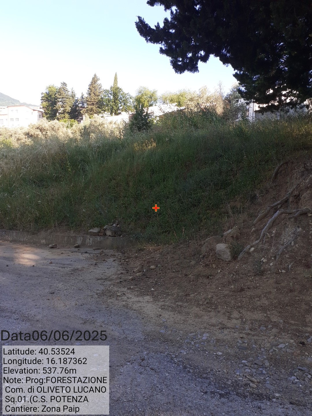 Galleria Fotografica Immagine