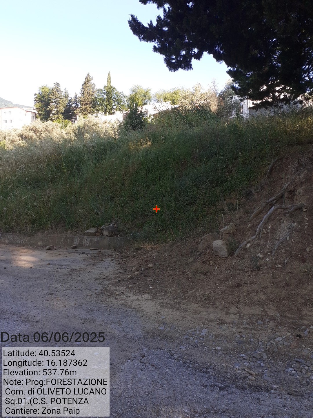 Galleria Fotografica Immagine