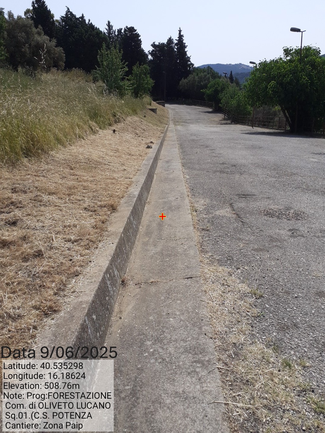 Galleria Fotografica Immagine