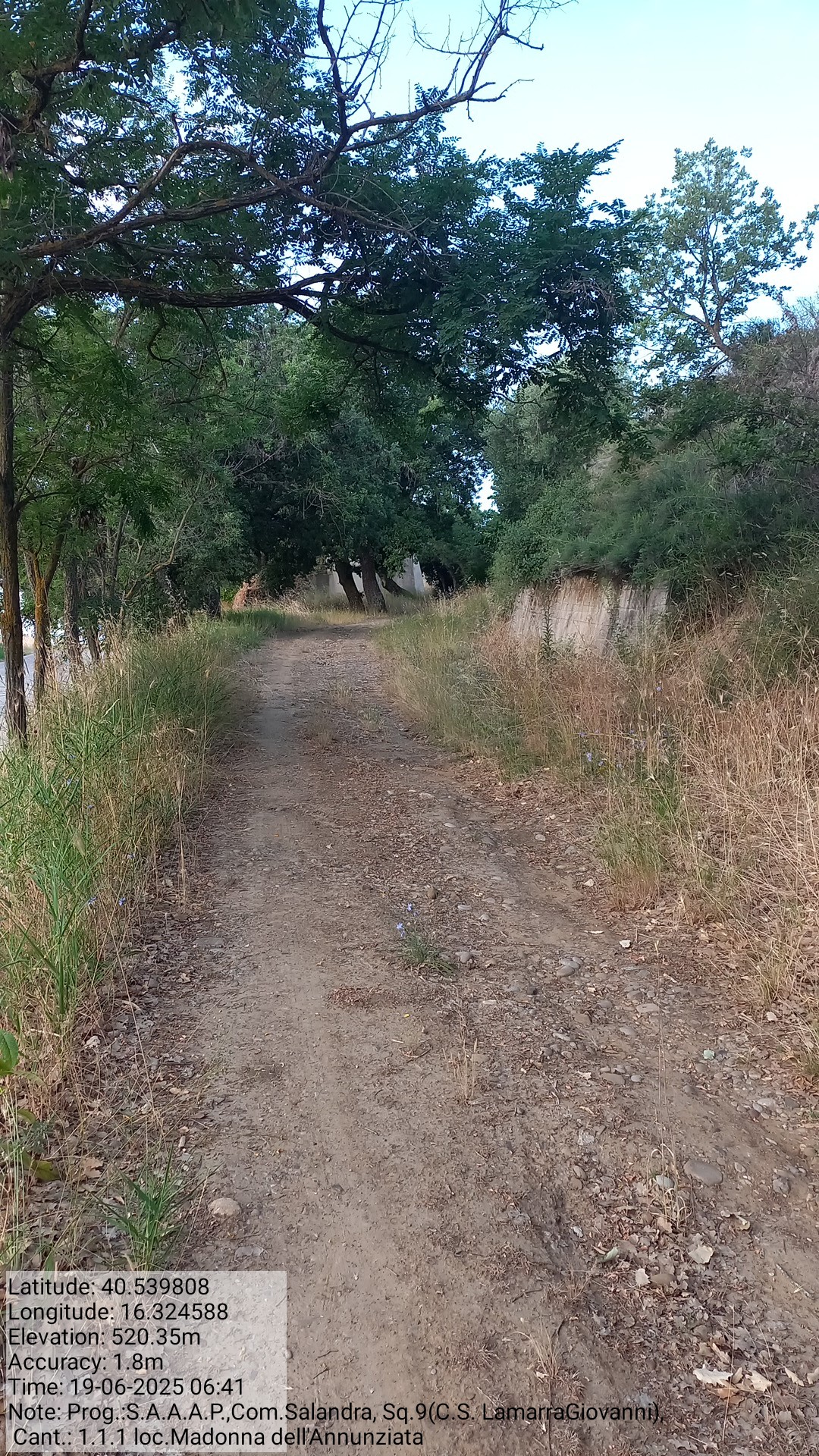 Galleria Fotografica Immagine