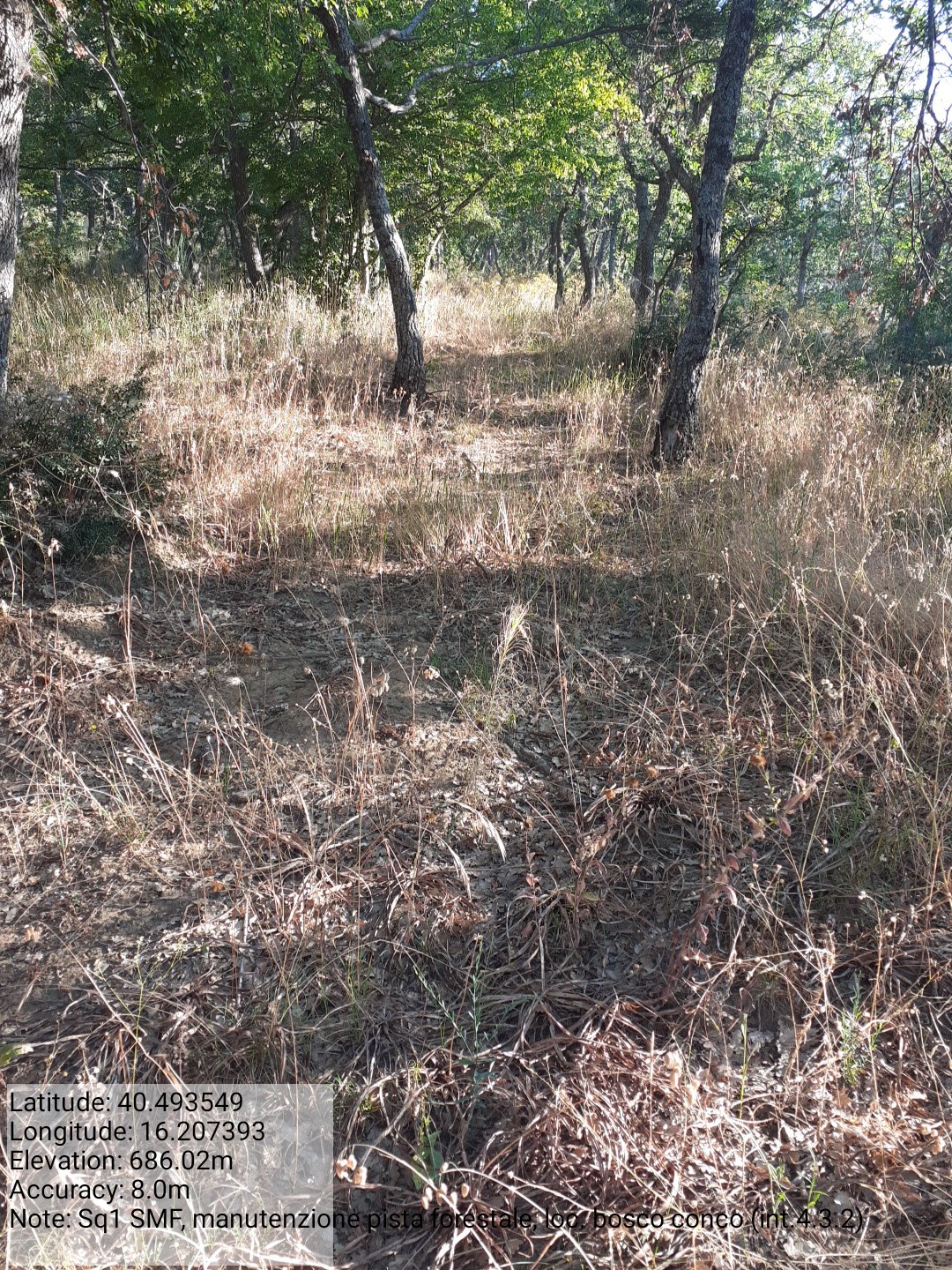 Galleria Fotografica Immagine