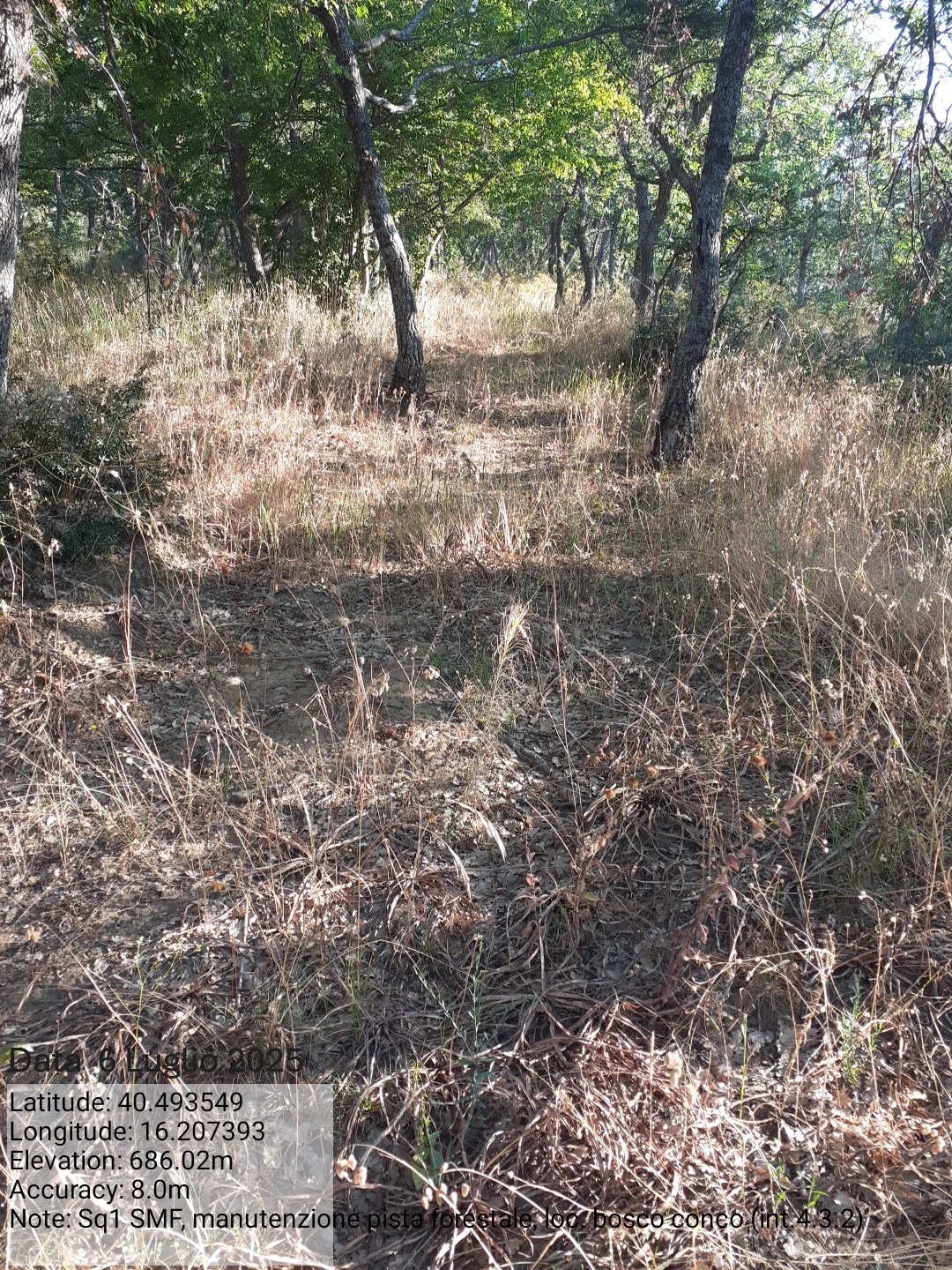 Galleria Fotografica Immagine