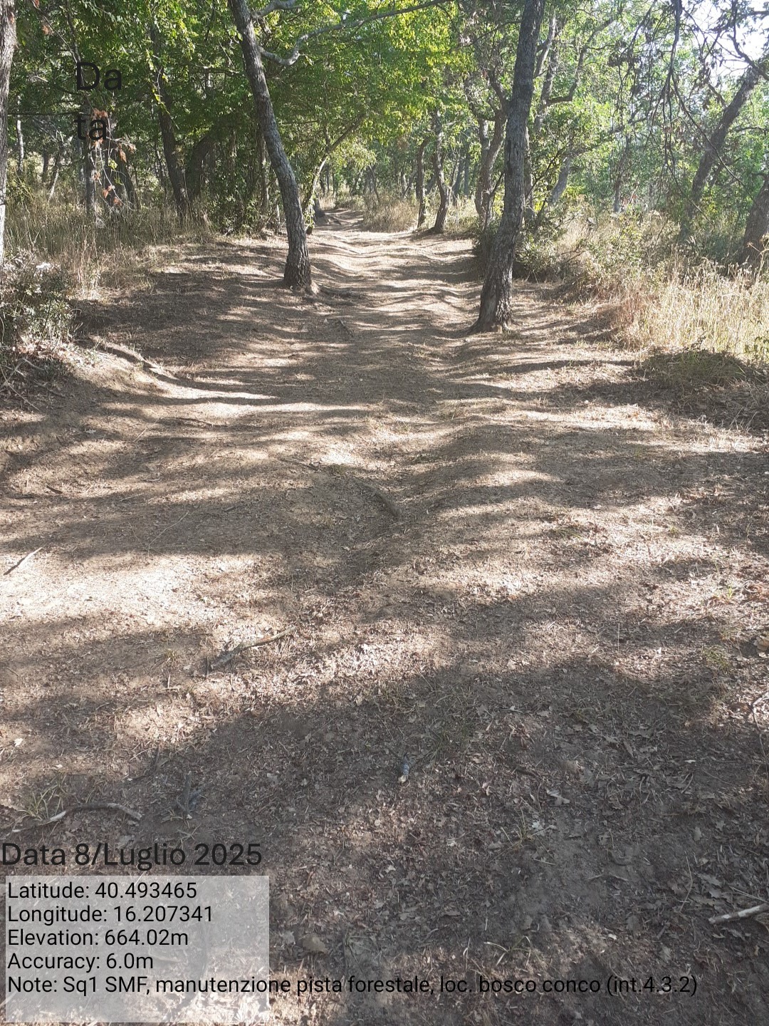 Galleria Fotografica Immagine