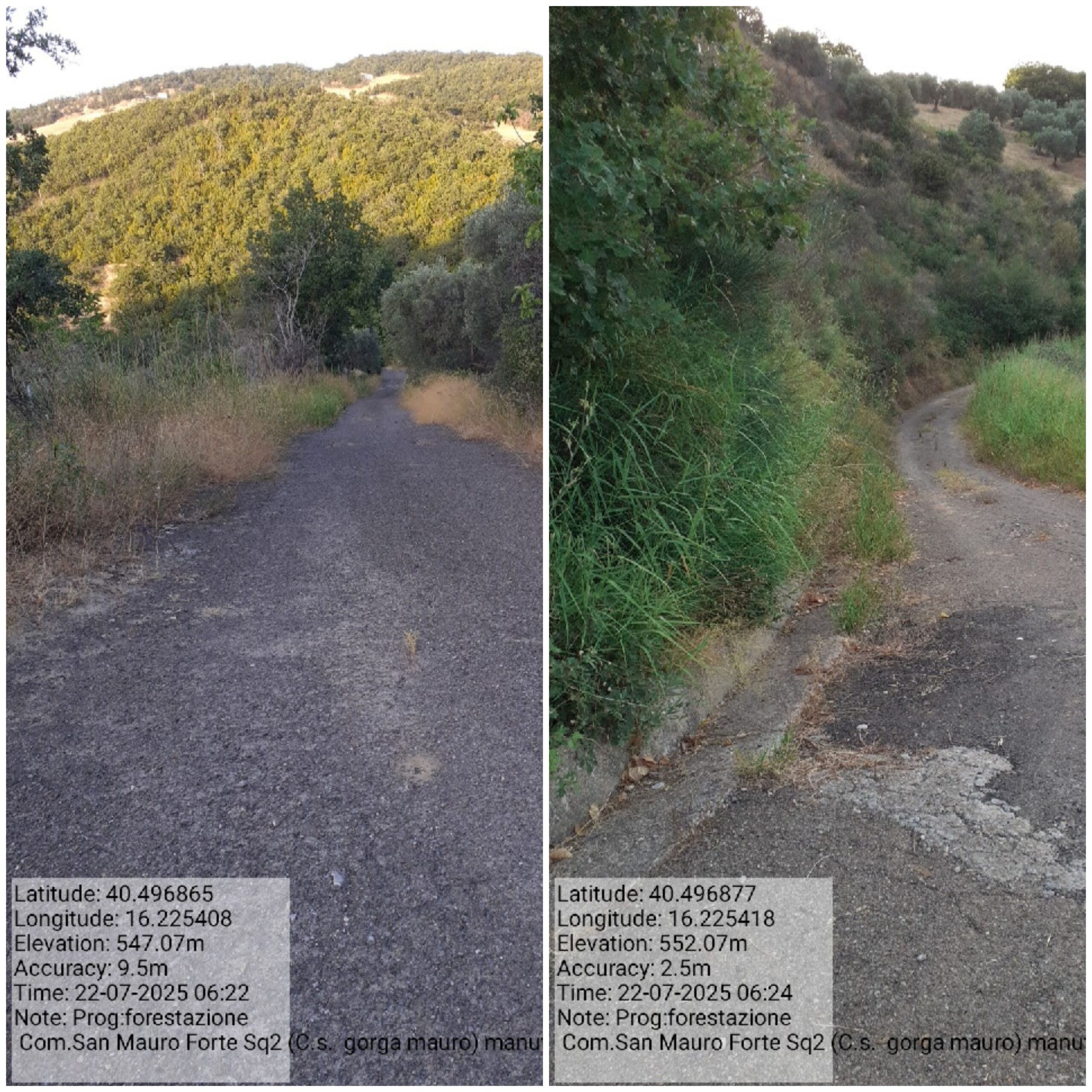 Galleria Fotografica Immagine