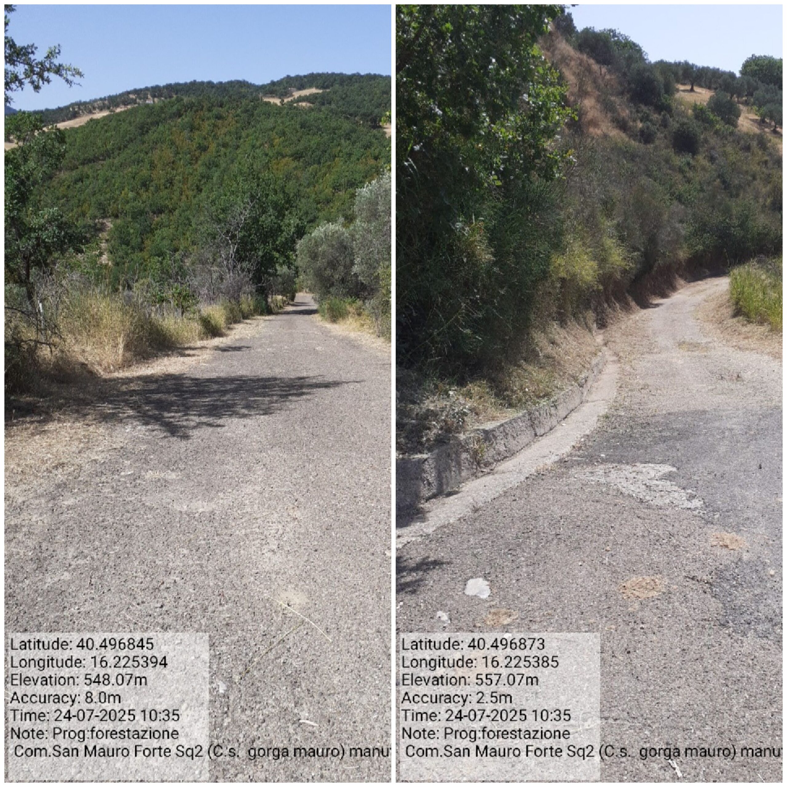 Galleria Fotografica Immagine