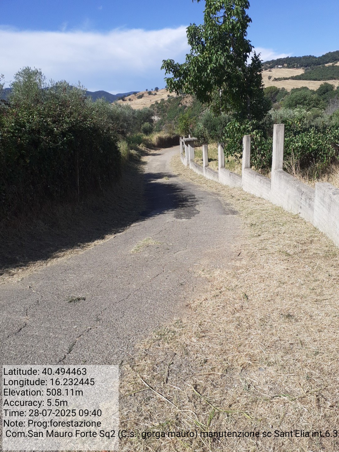 Galleria Fotografica Immagine