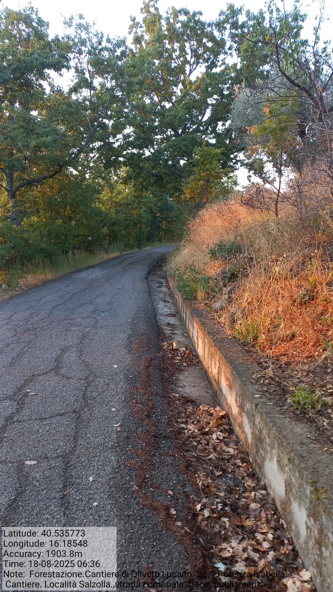 Galleria Fotografica Immagine