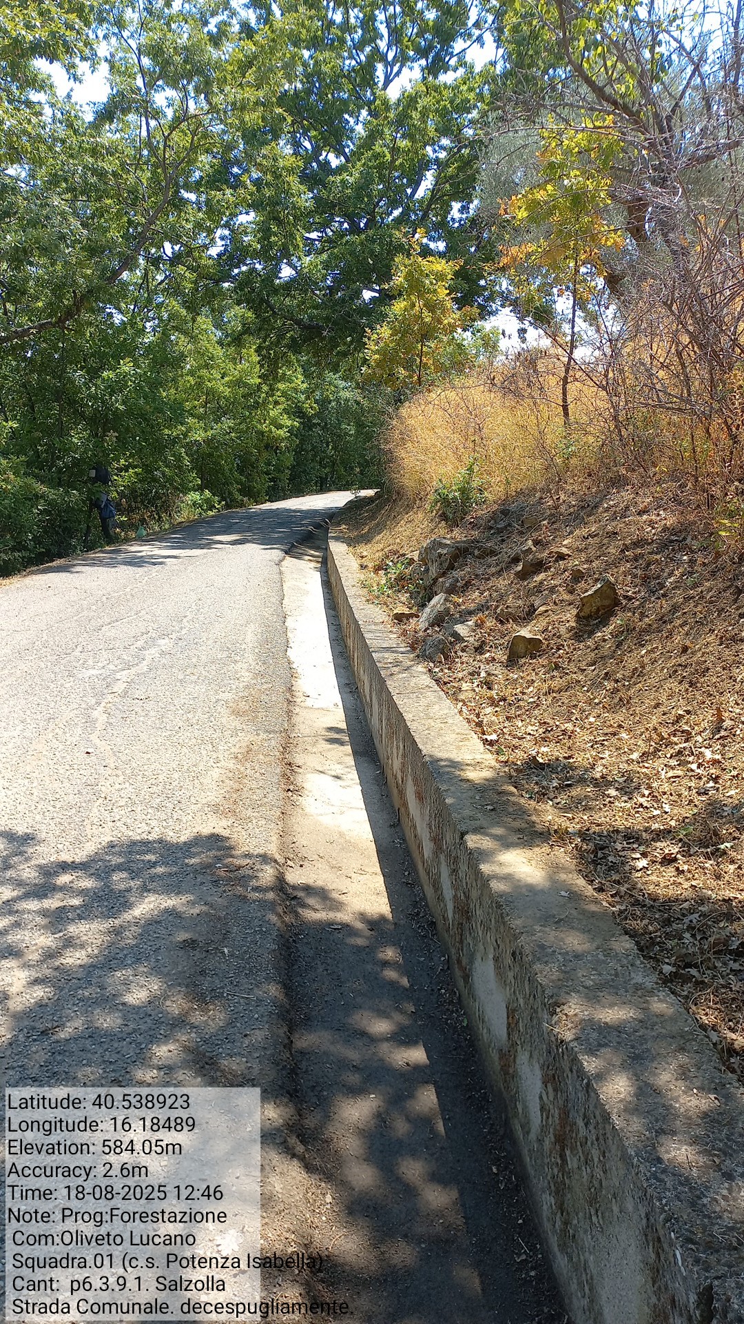 Galleria Fotografica Immagine