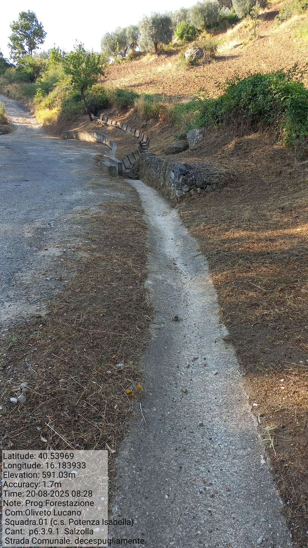 Galleria Fotografica Immagine