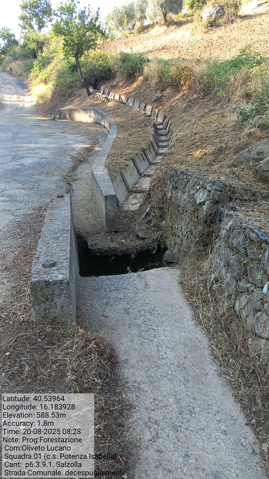 Galleria Fotografica Immagine