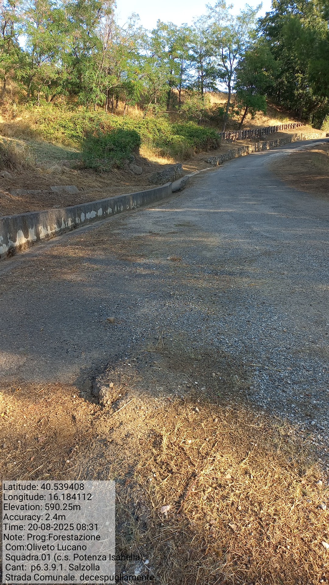 Galleria Fotografica Immagine