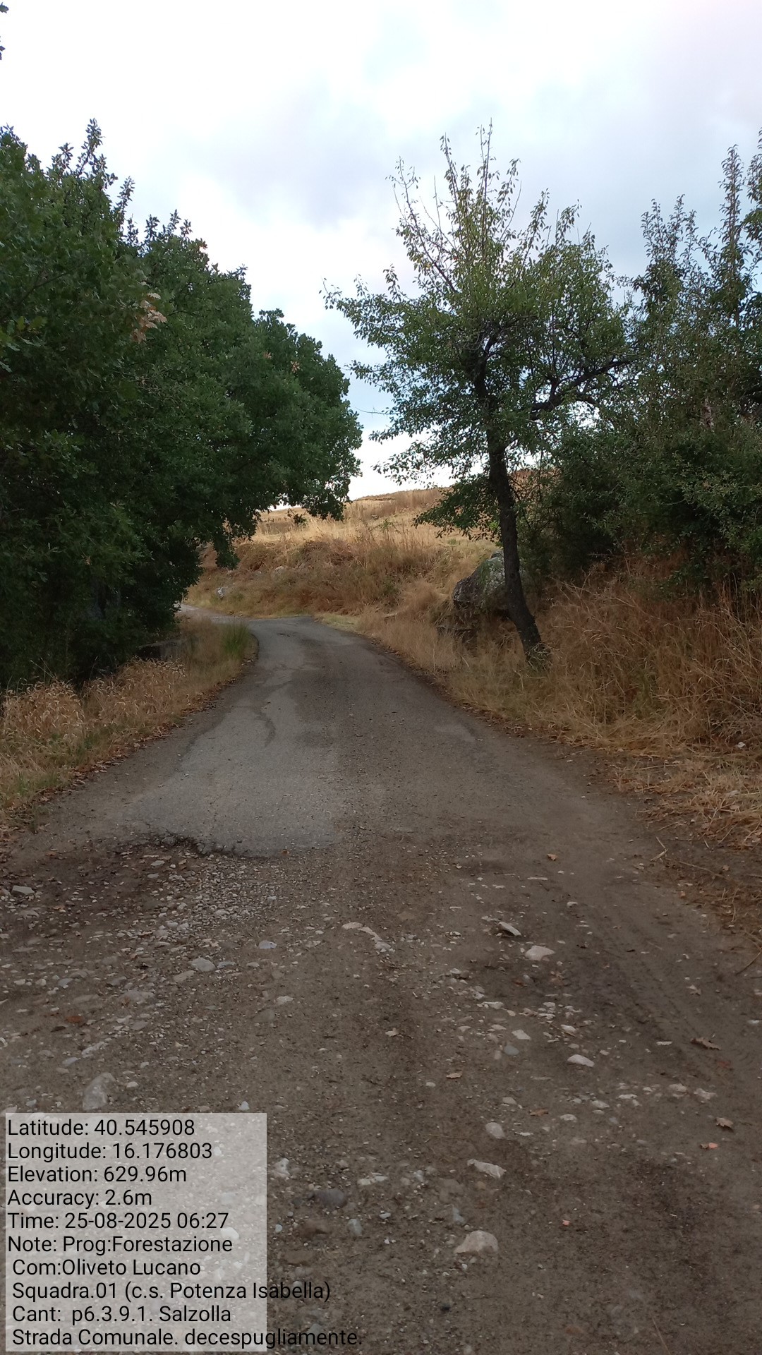 Galleria Fotografica Immagine