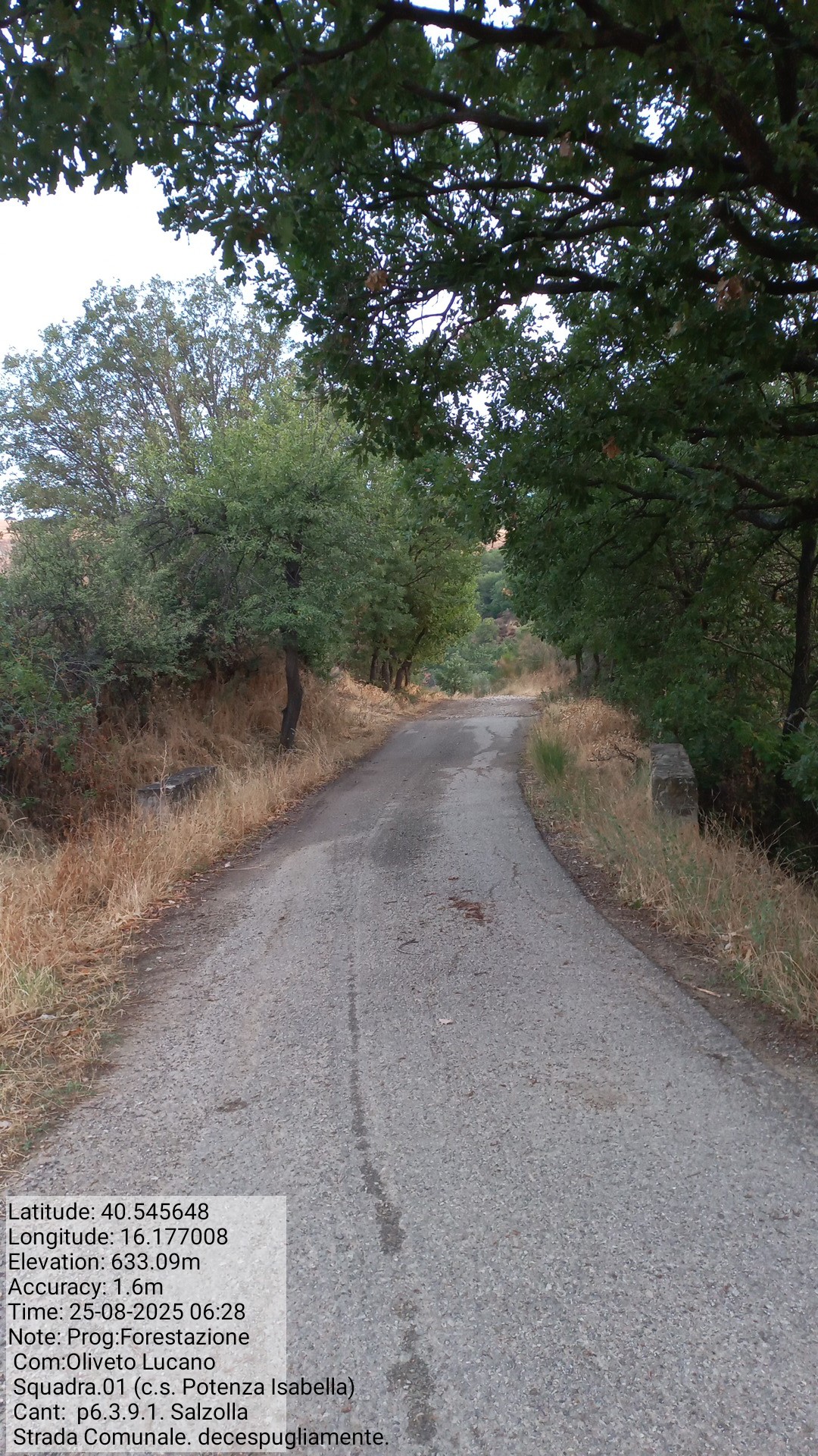 Galleria Fotografica Immagine