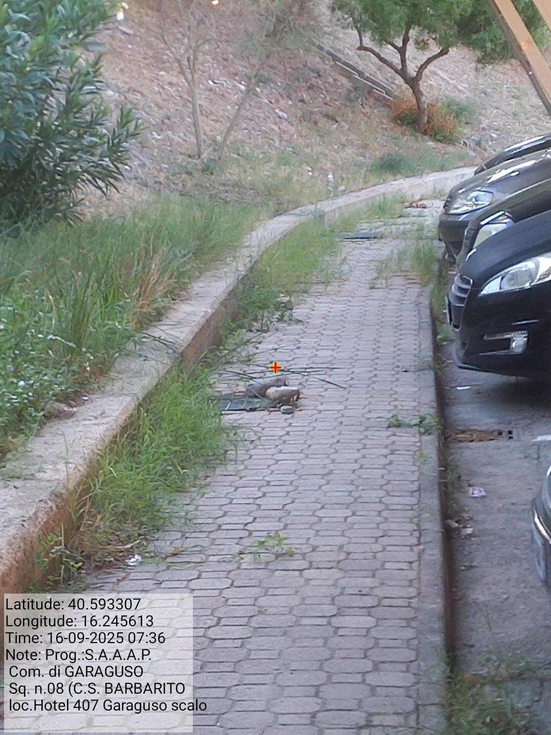 Galleria Fotografica Immagine