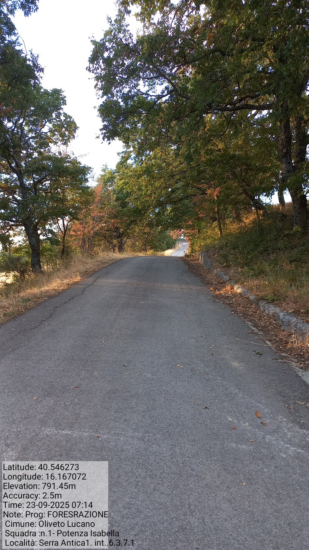 Galleria Fotografica Immagine