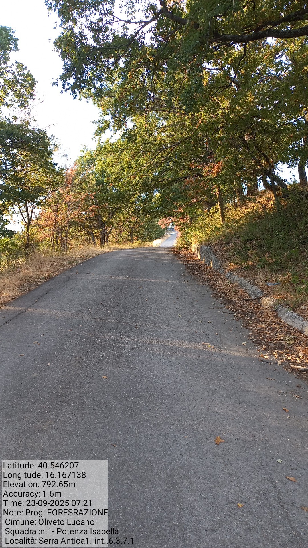 Galleria Fotografica Immagine