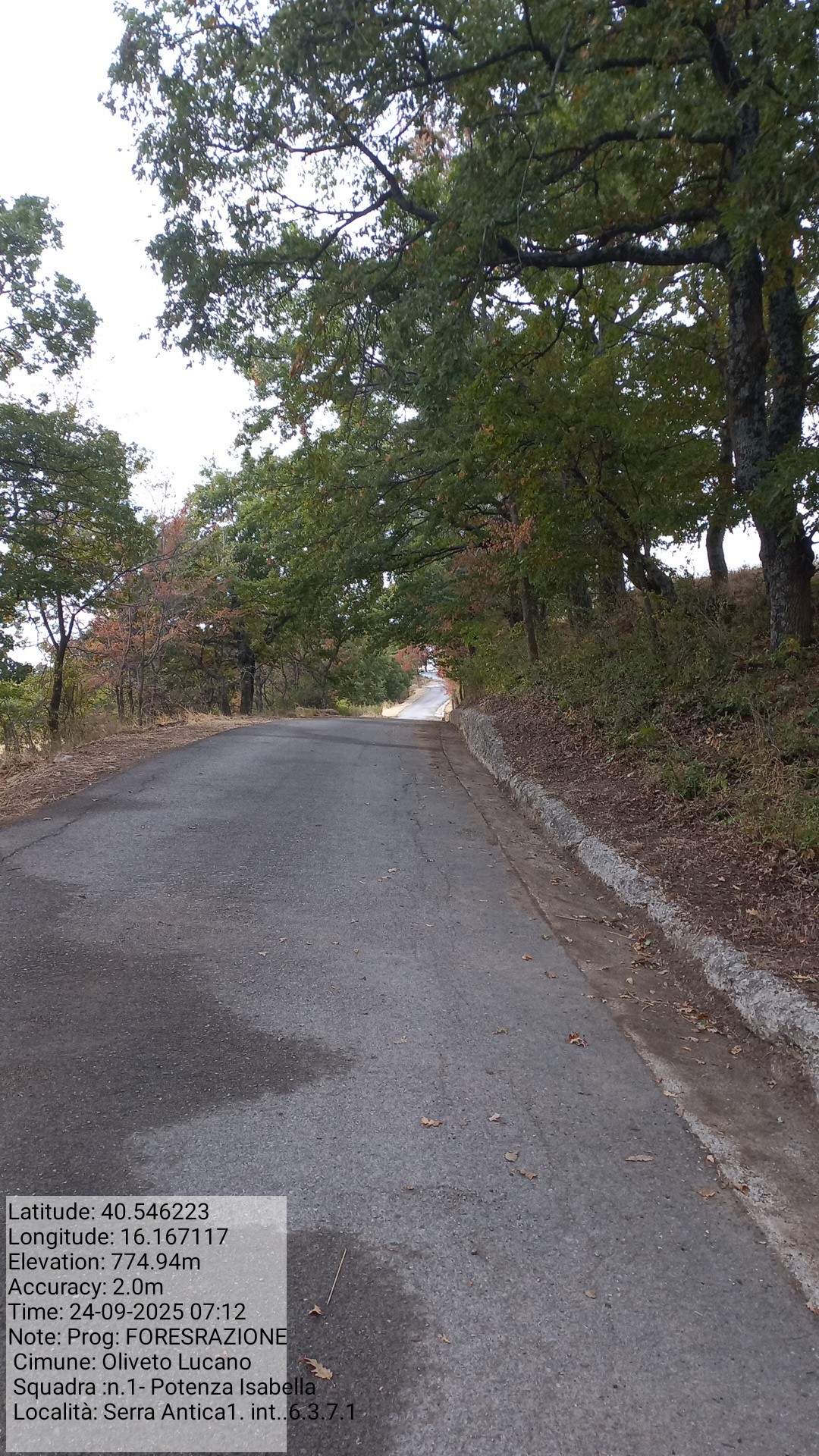 Galleria Fotografica Immagine