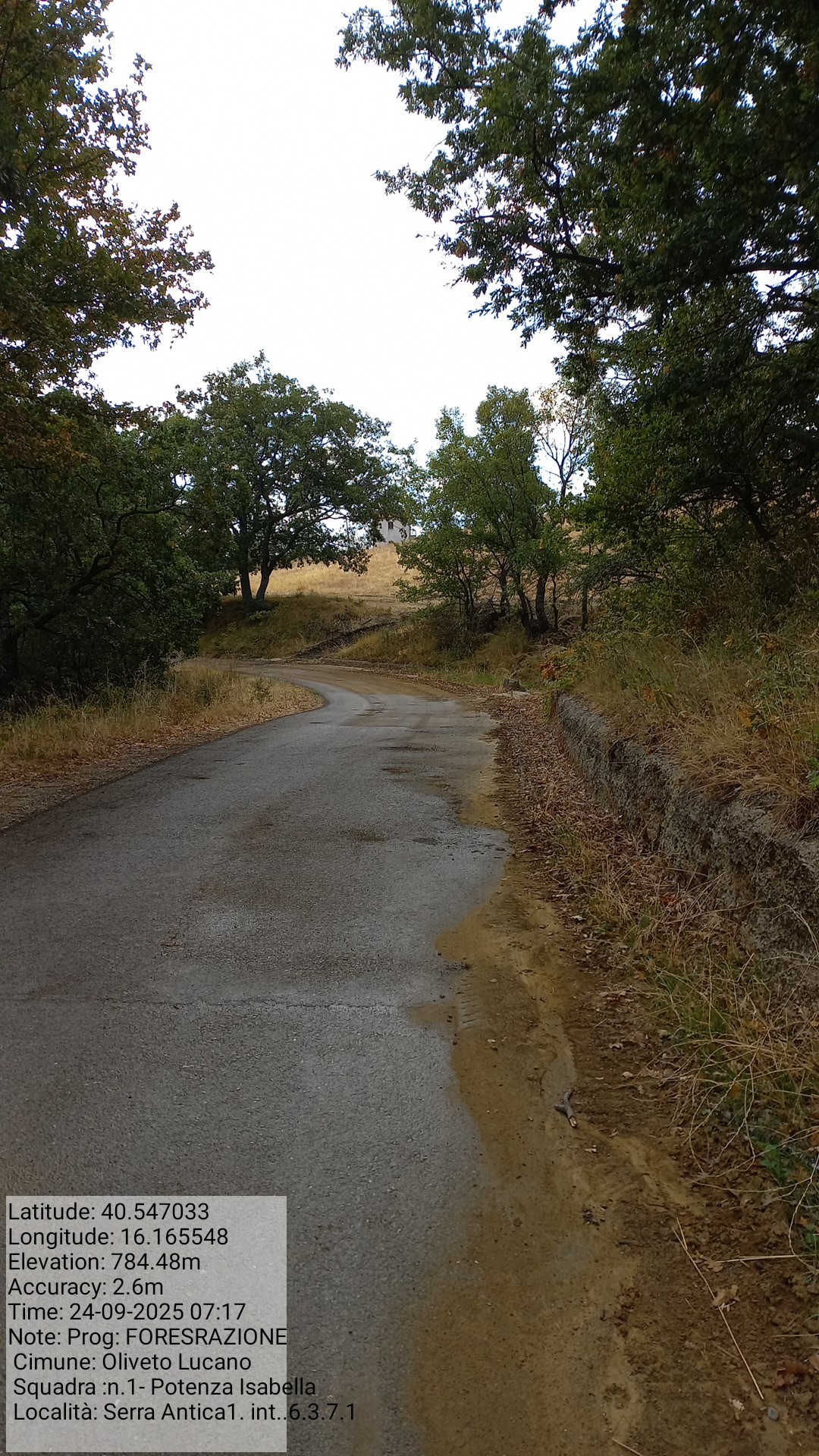 Galleria Fotografica Immagine