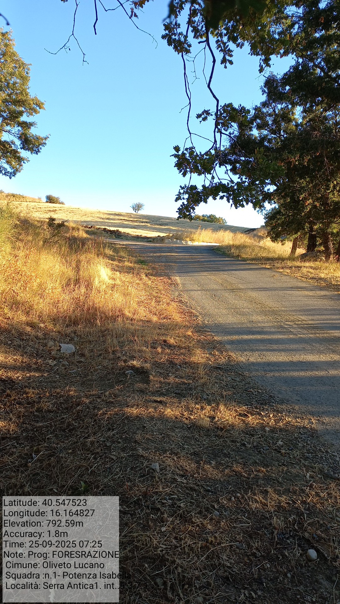 Galleria Fotografica Immagine