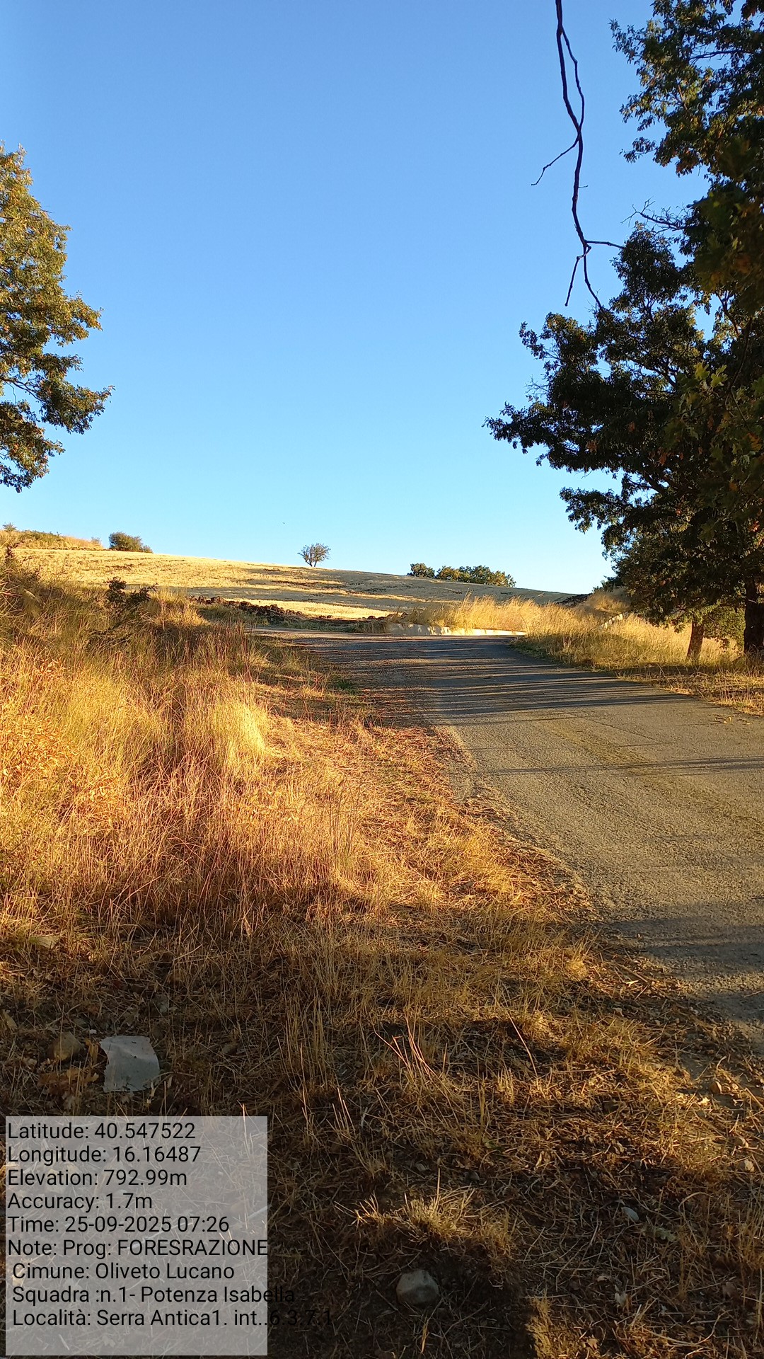 Galleria Fotografica Immagine