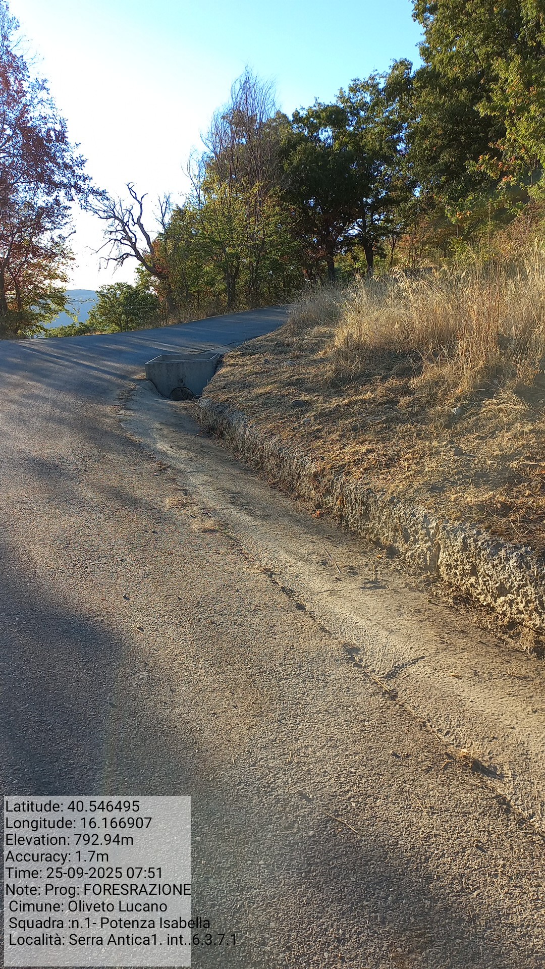 Galleria Fotografica Immagine