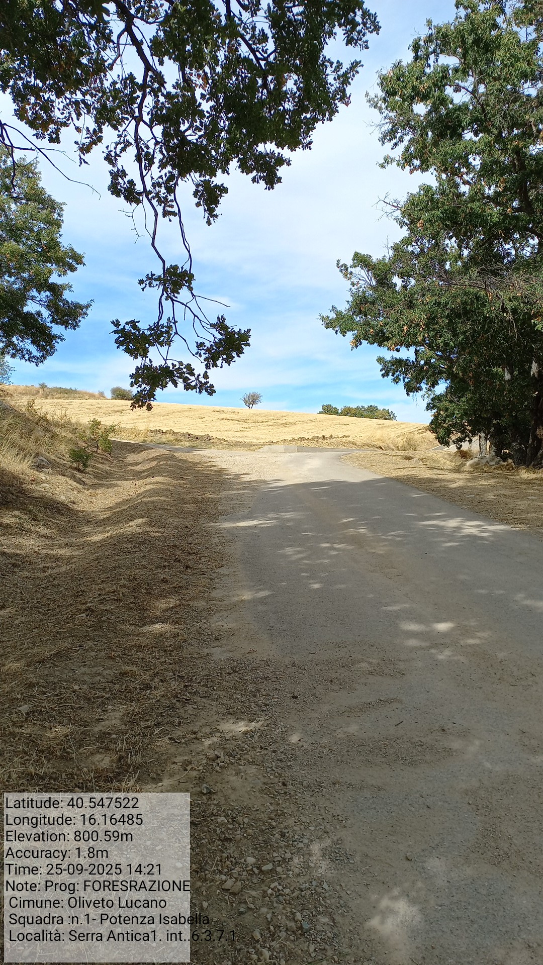 Galleria Fotografica Immagine