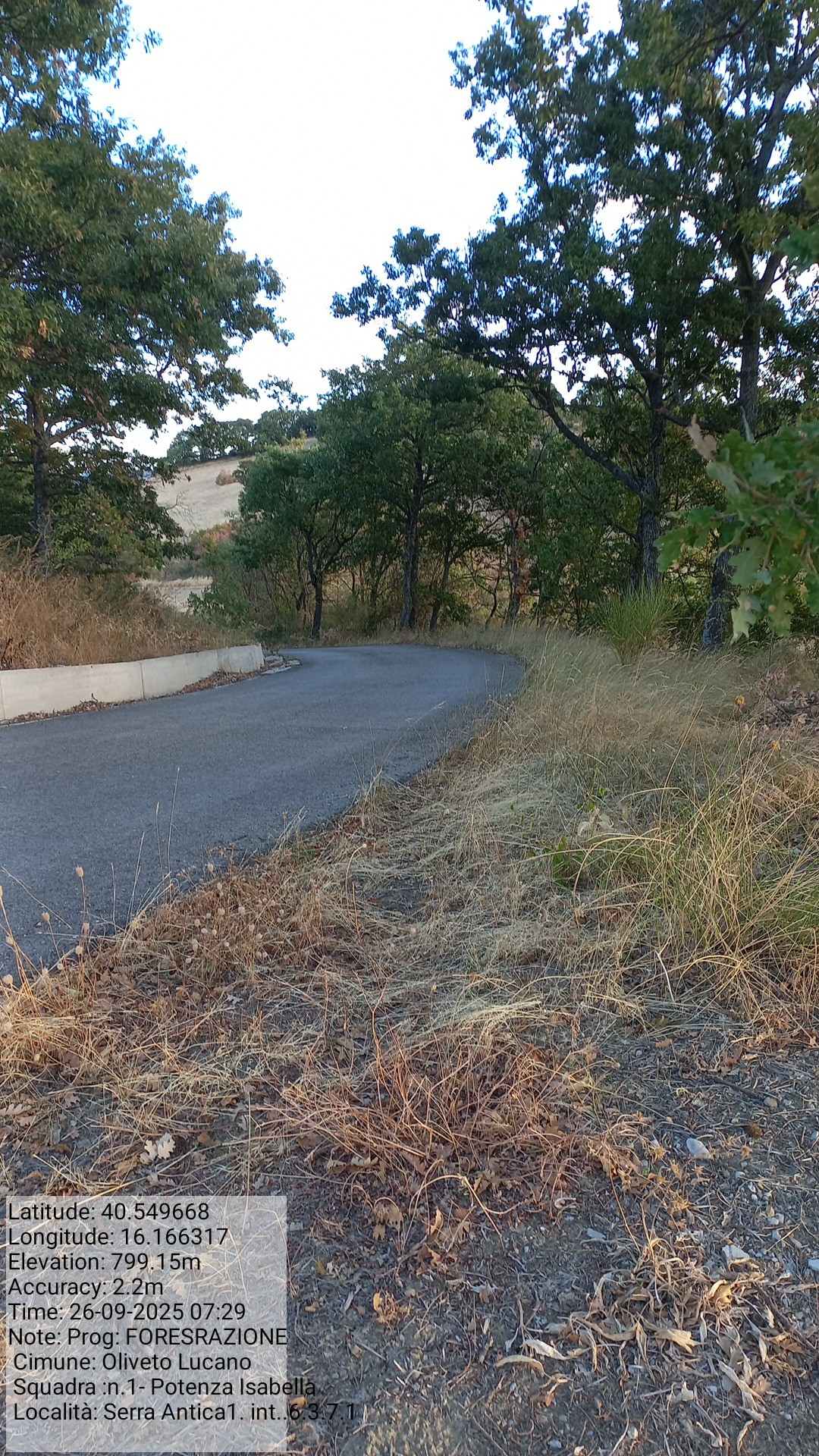 Galleria Fotografica Immagine