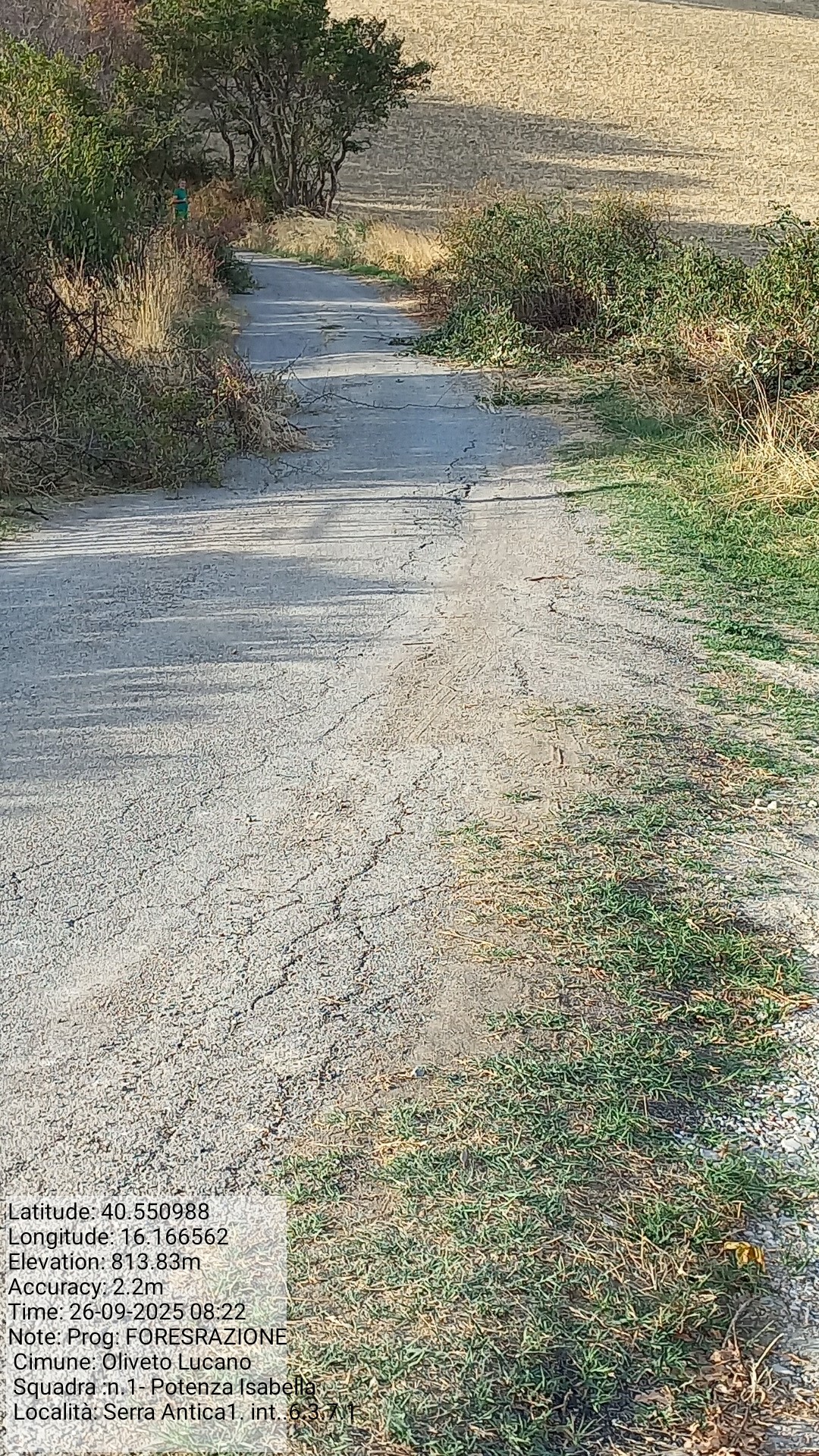 Galleria Fotografica Immagine