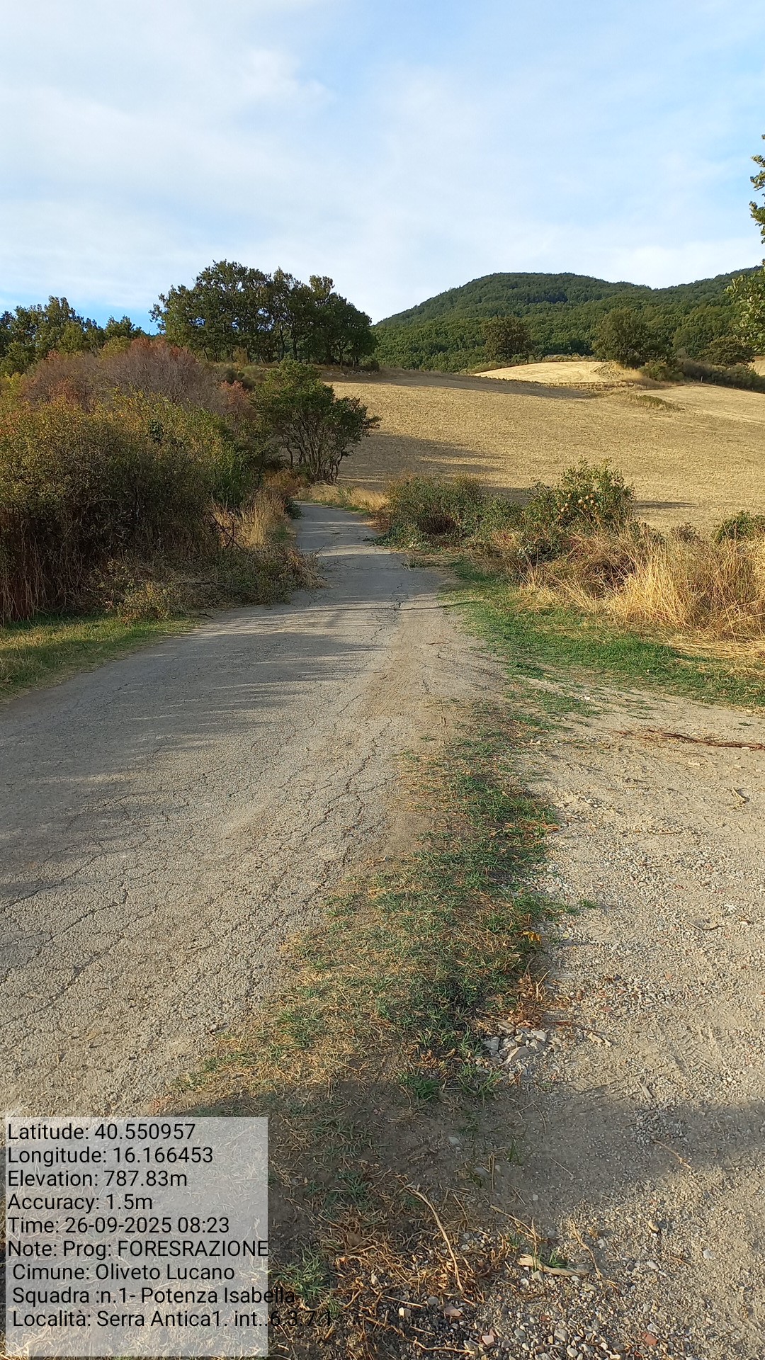 Galleria Fotografica Immagine