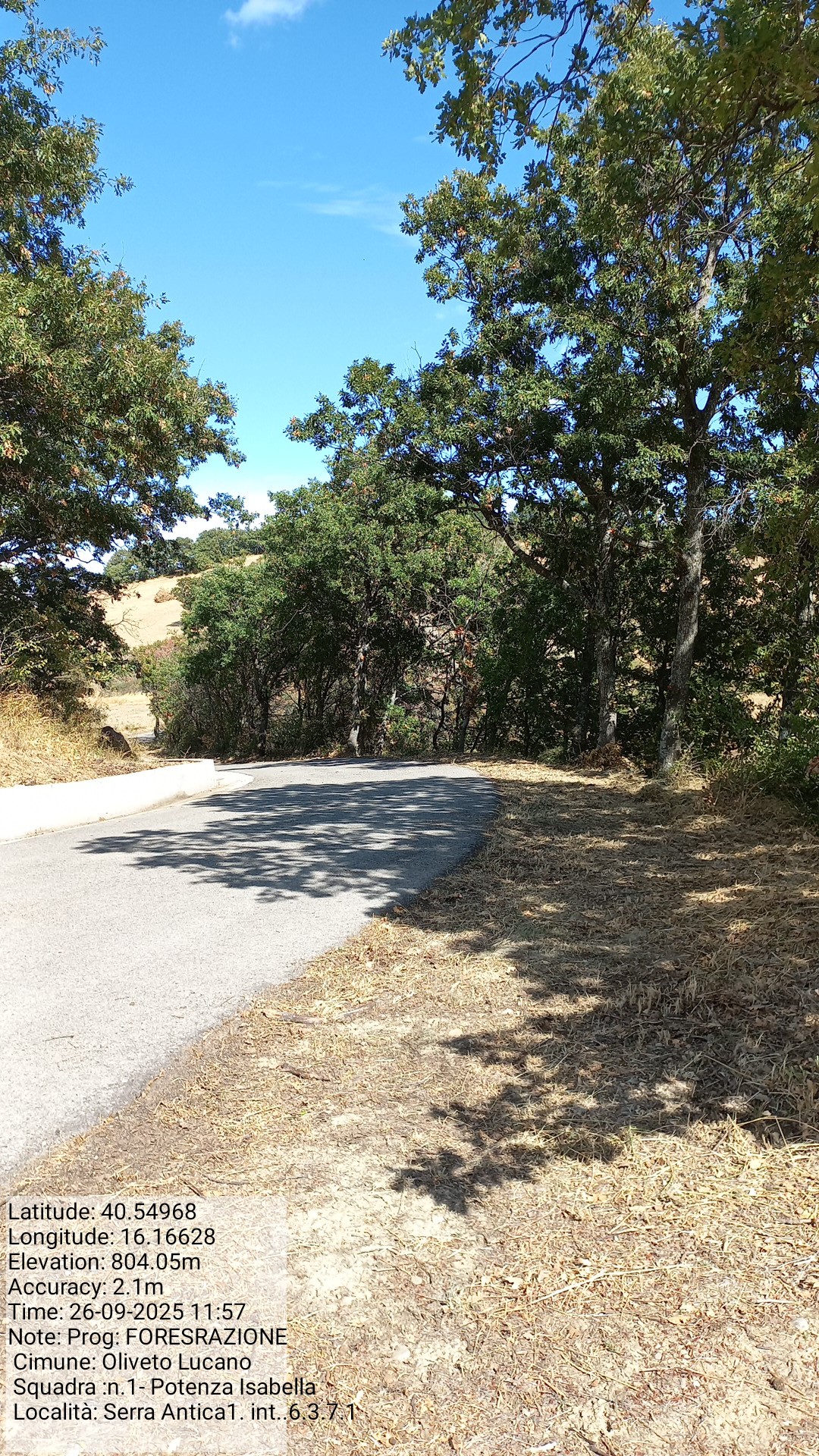 Galleria Fotografica Immagine