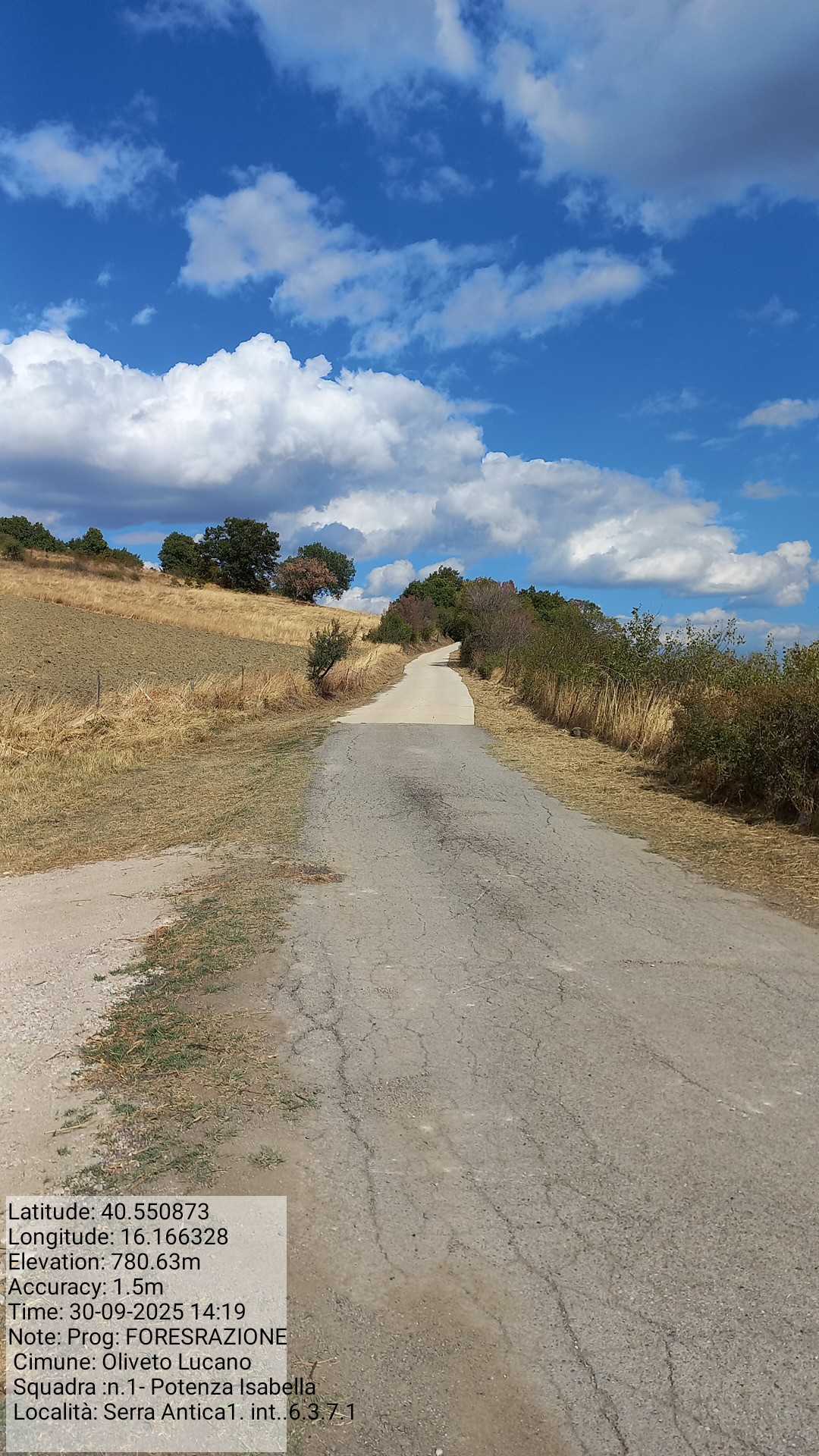 Galleria Fotografica Immagine