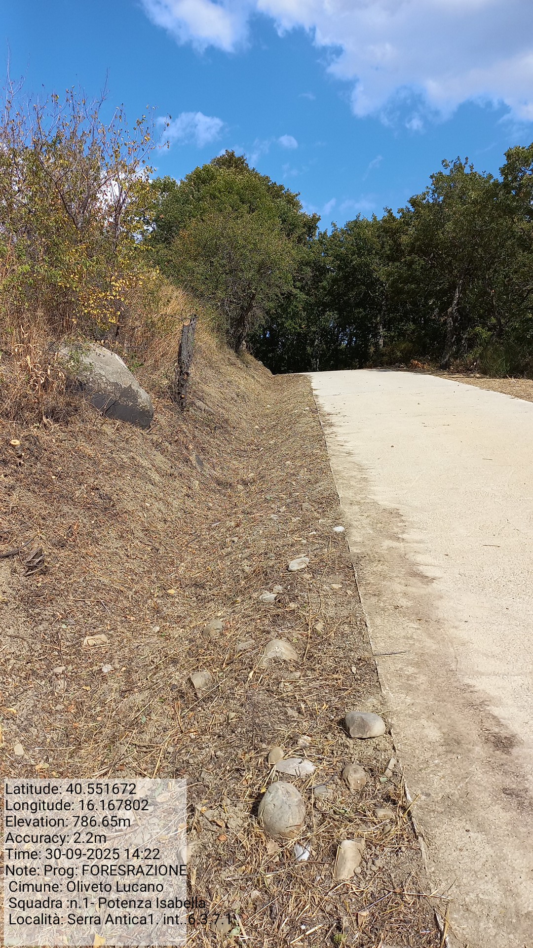 Galleria Fotografica Immagine