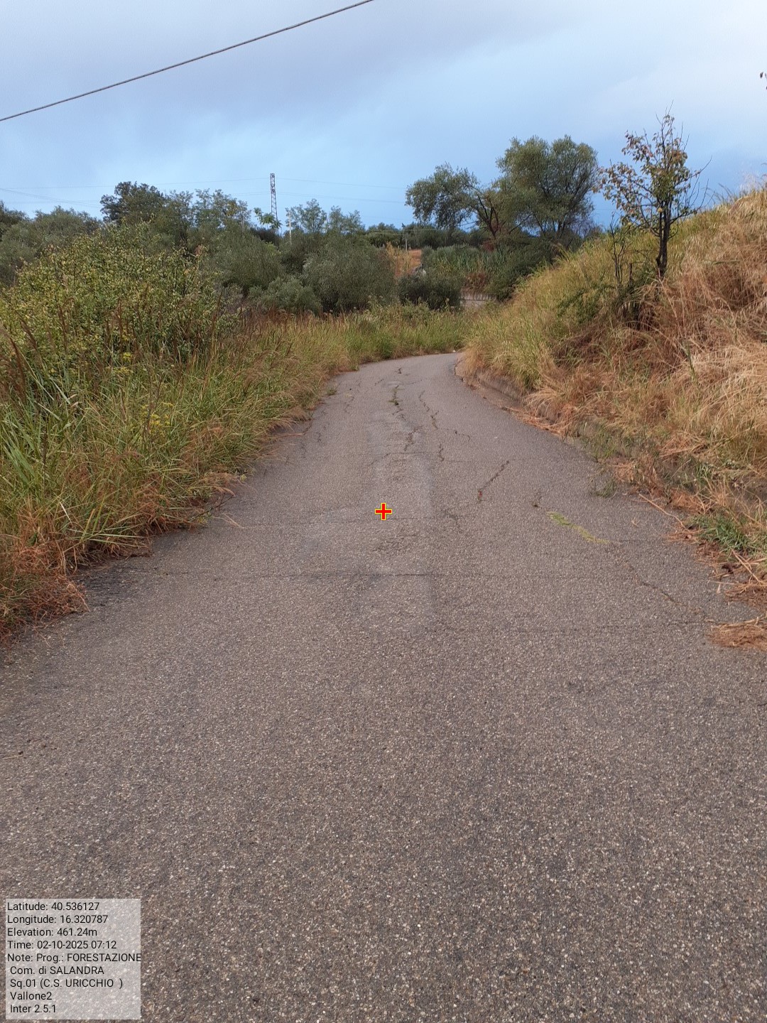 Galleria Fotografica Immagine