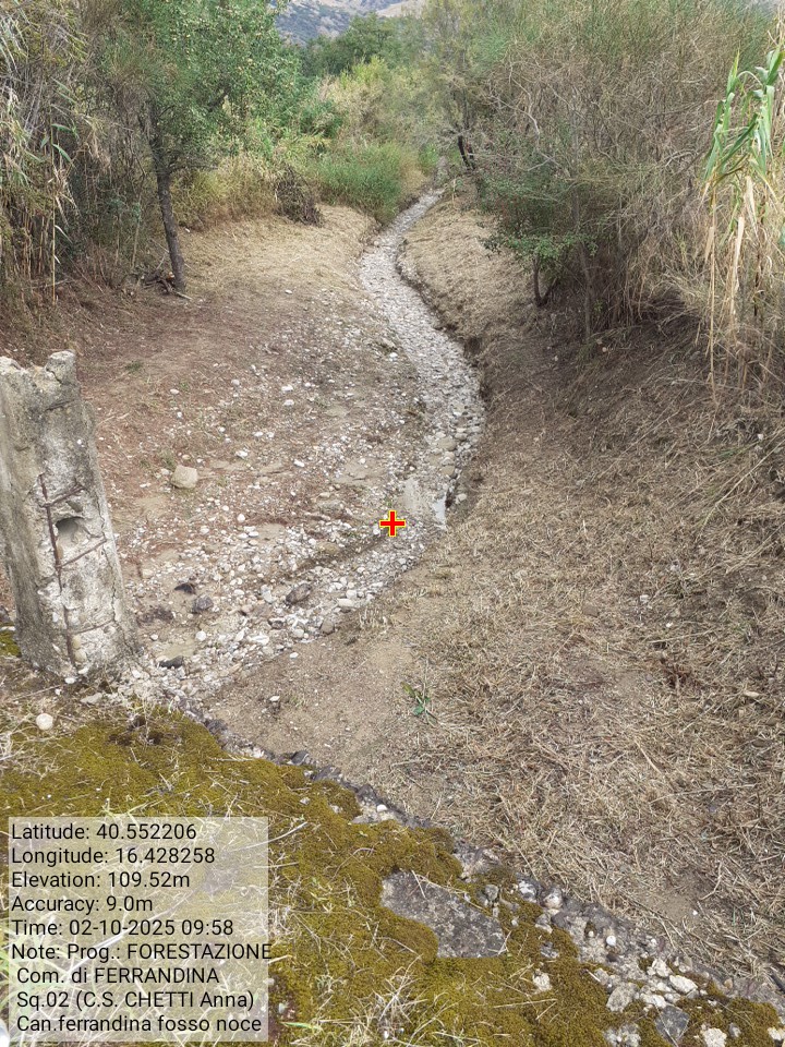 Galleria Fotografica Immagine