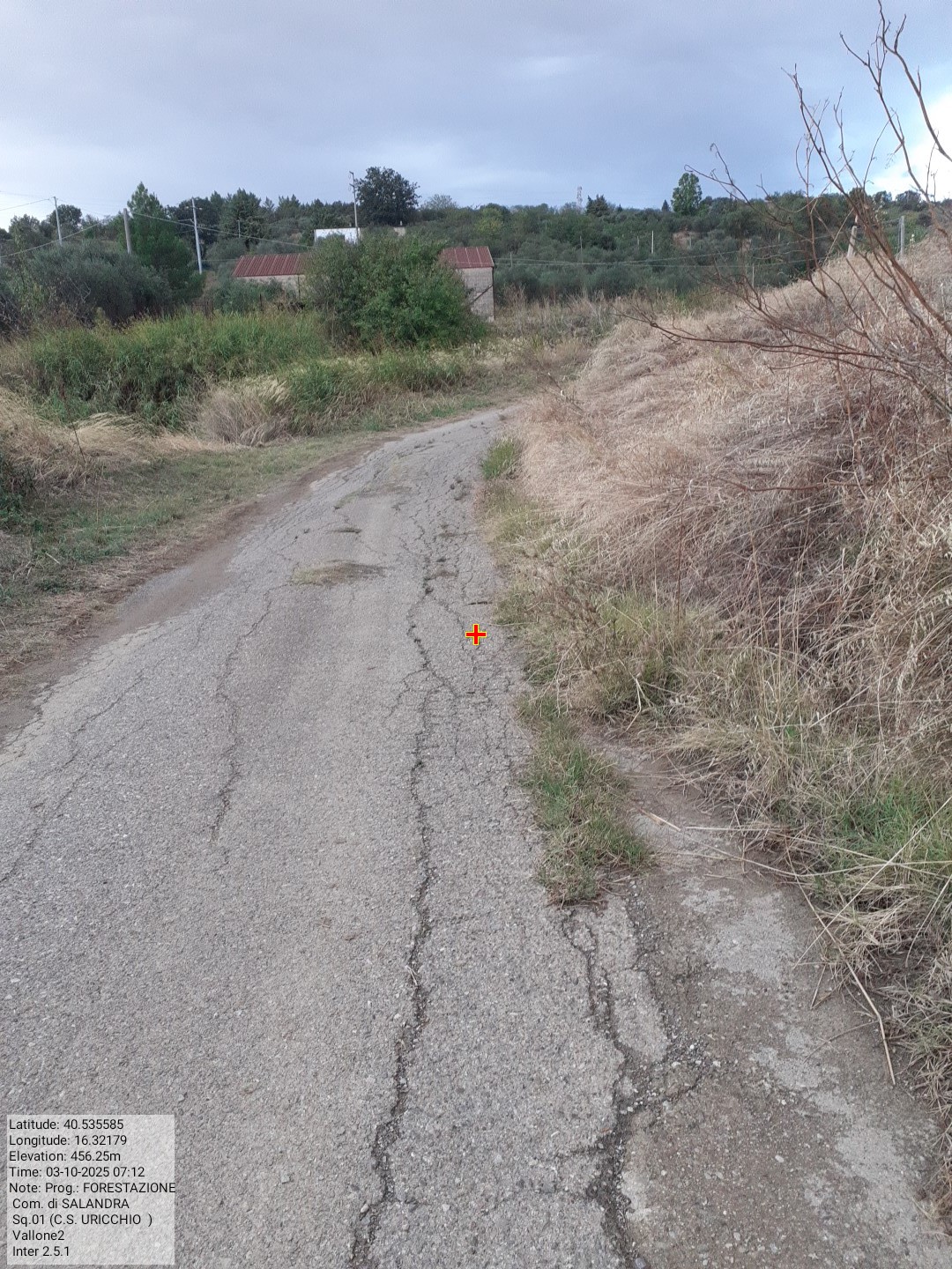 Galleria Fotografica Immagine