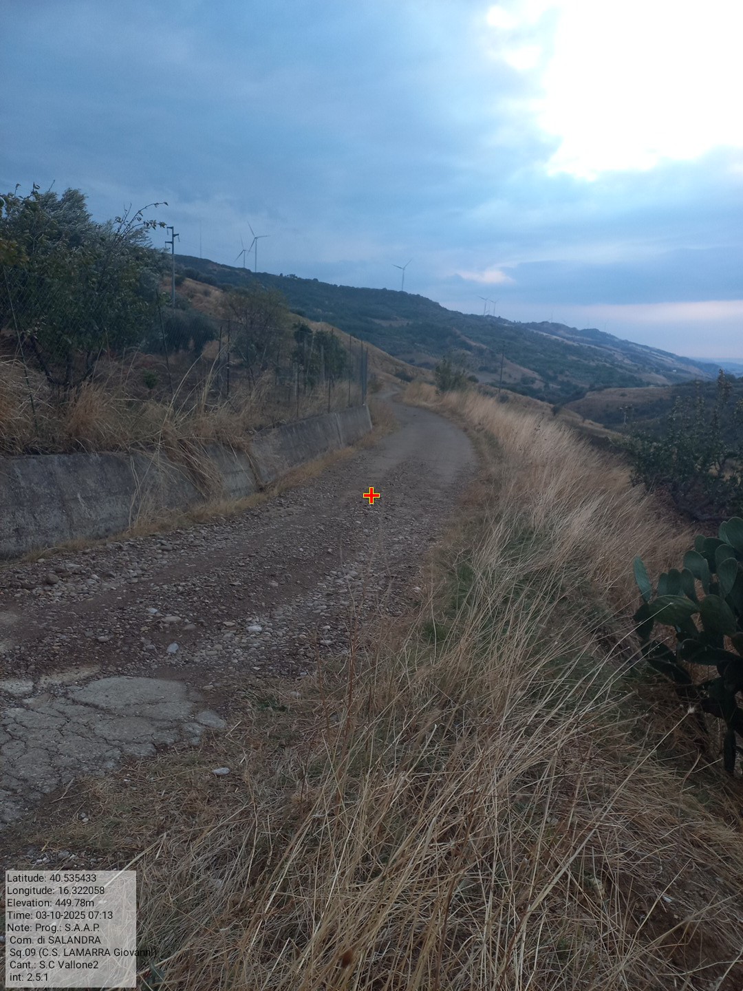 Galleria Fotografica Immagine