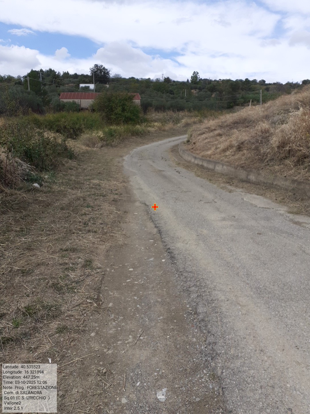 Galleria Fotografica Immagine