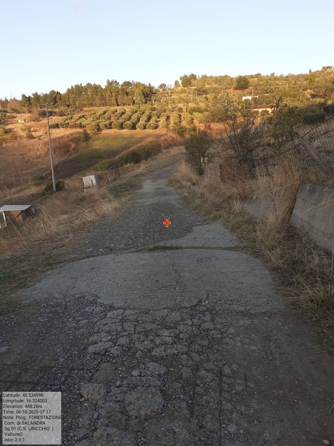 Galleria Fotografica Immagine