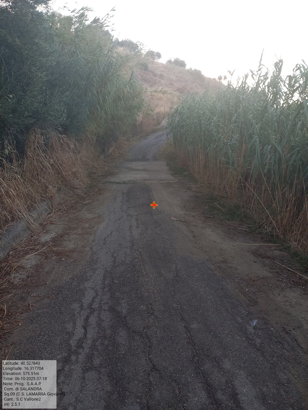 Galleria Fotografica Immagine