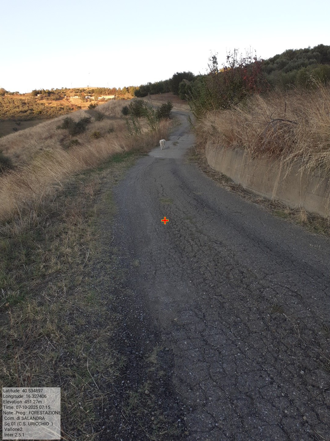 Galleria Fotografica Immagine