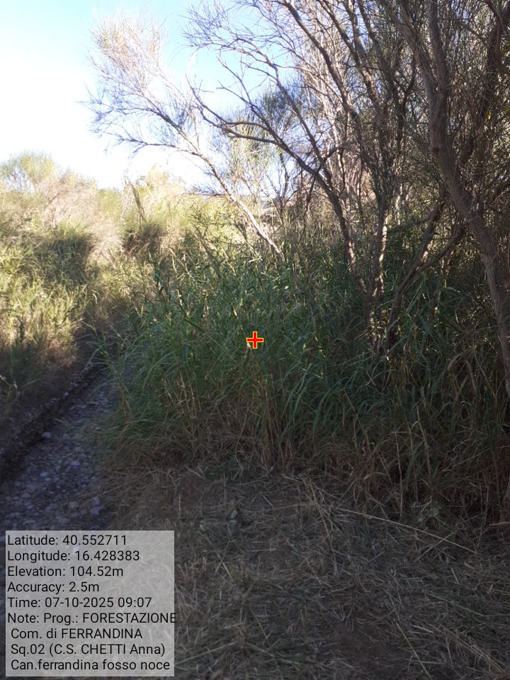 Galleria Fotografica Immagine