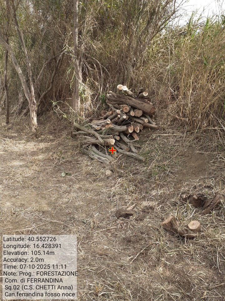 Galleria Fotografica Immagine