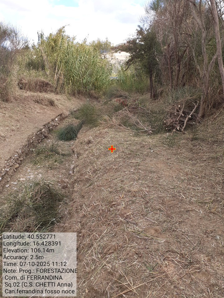 Galleria Fotografica Immagine