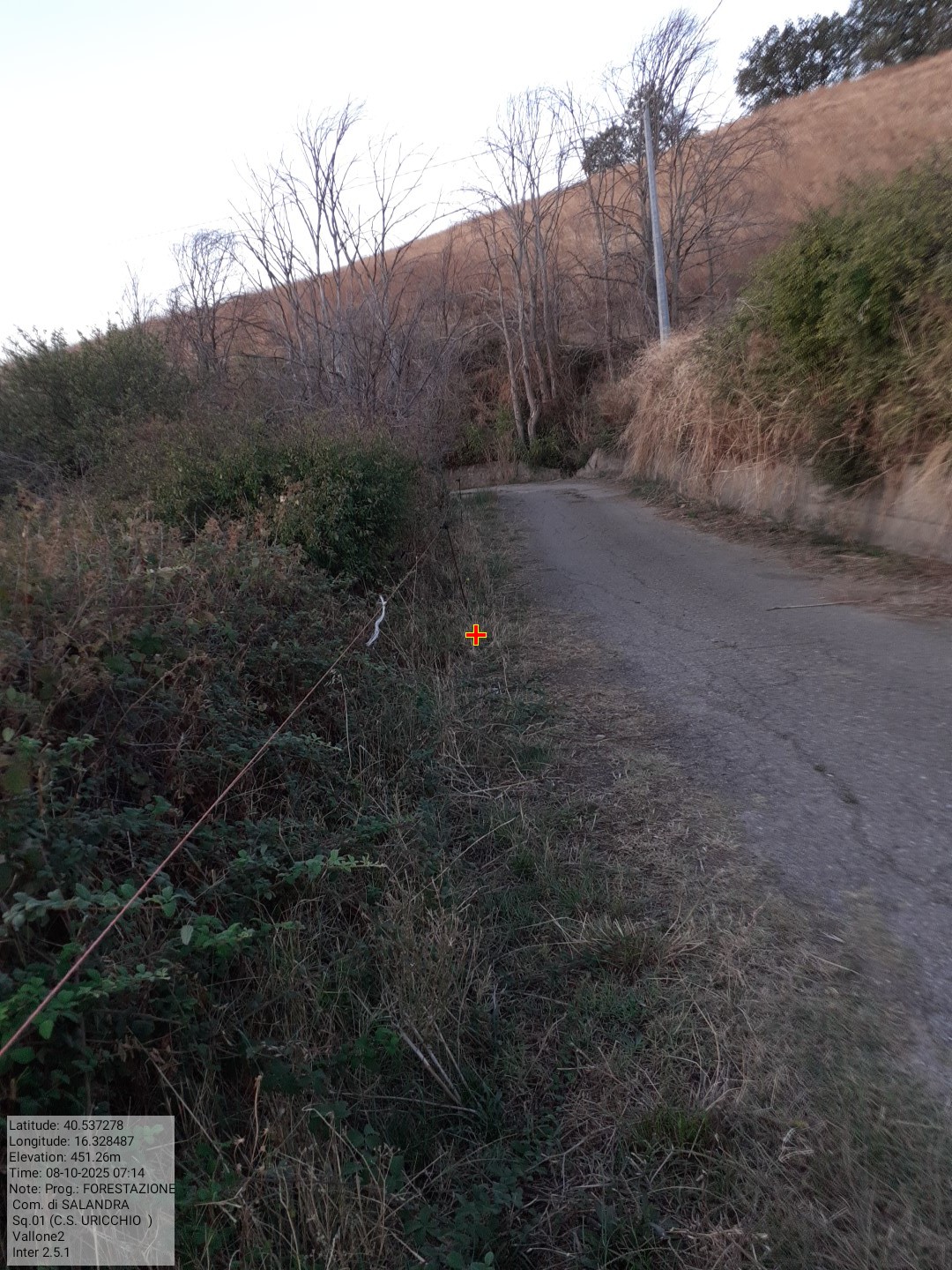 Galleria Fotografica Immagine