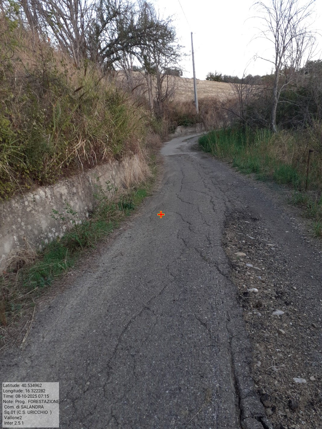 Galleria Fotografica Immagine