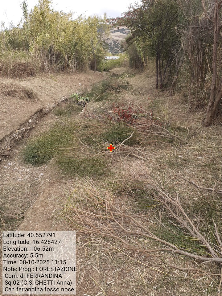 Galleria Fotografica Immagine