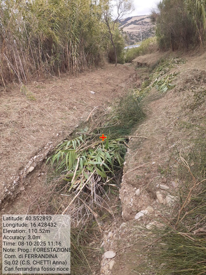 Galleria Fotografica Immagine