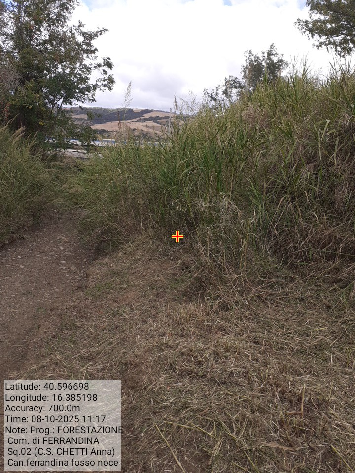 Galleria Fotografica Immagine