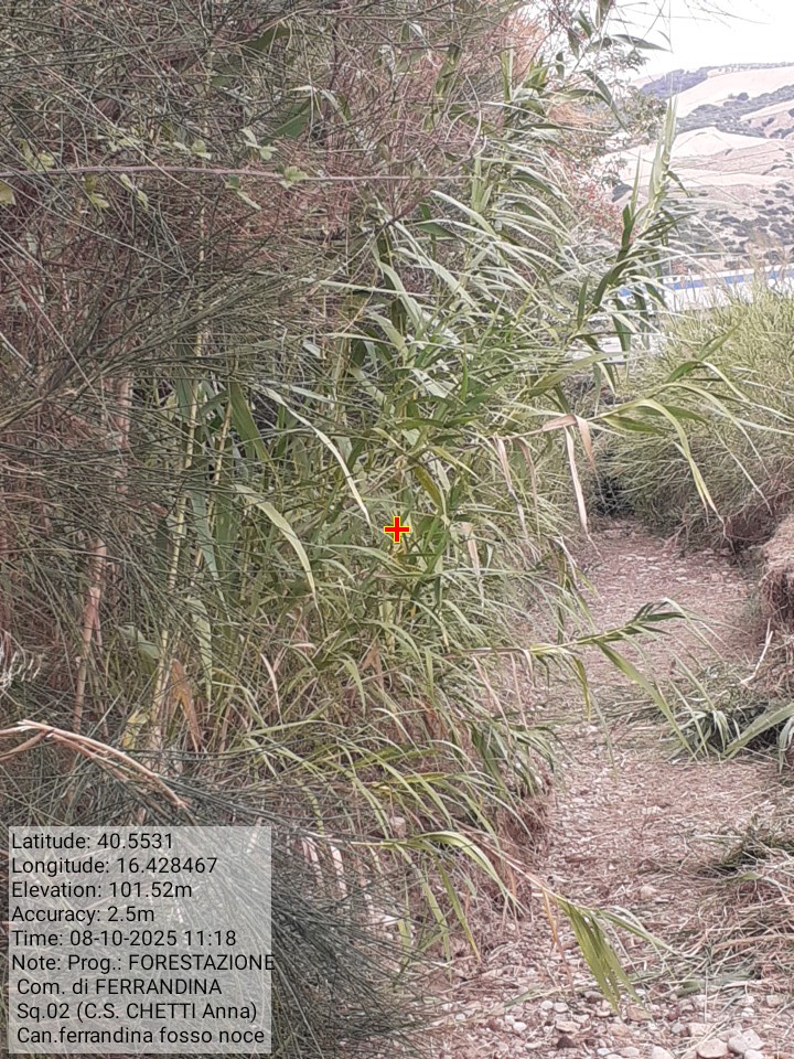 Galleria Fotografica Immagine